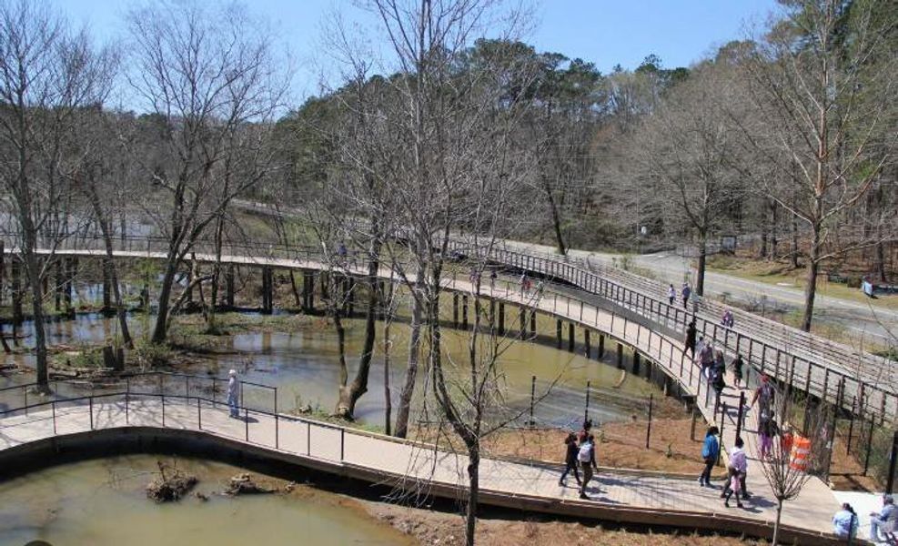 Community amenities in , Roswell (Image 74).