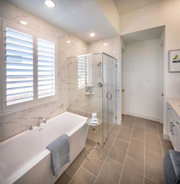 Representative Primary Bathroom - some options shown