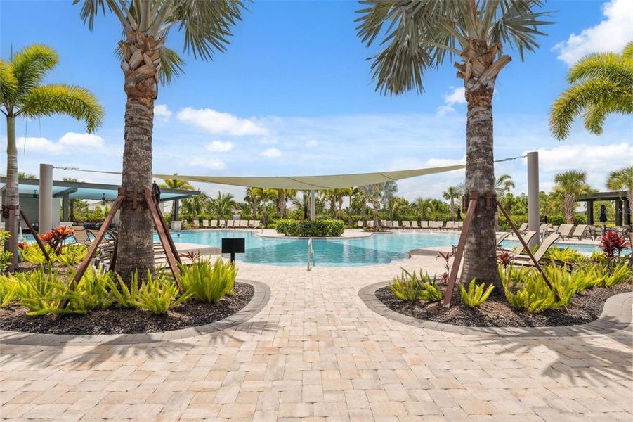 Community amenities in , Wesley Chapel (Image 34). Community amenities in , Wesley Chapel (Image 34).