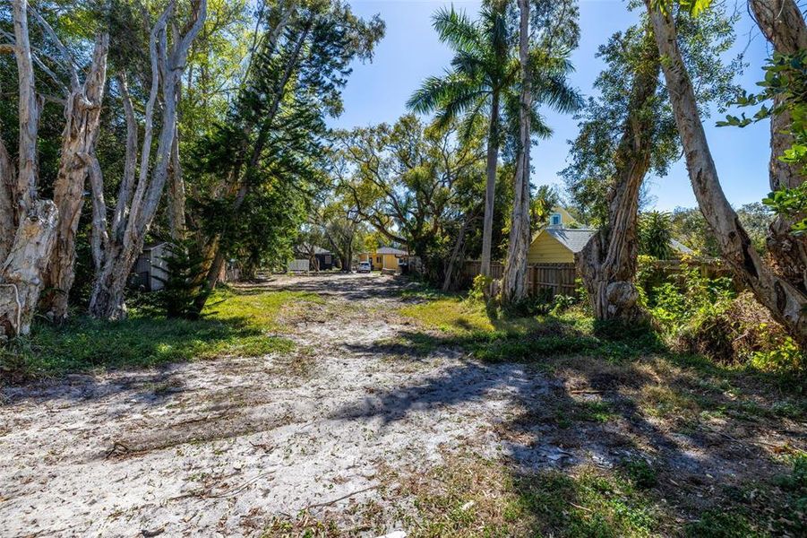 Natural landscape and outdoor views near  in St. Petersburg (Image 7).