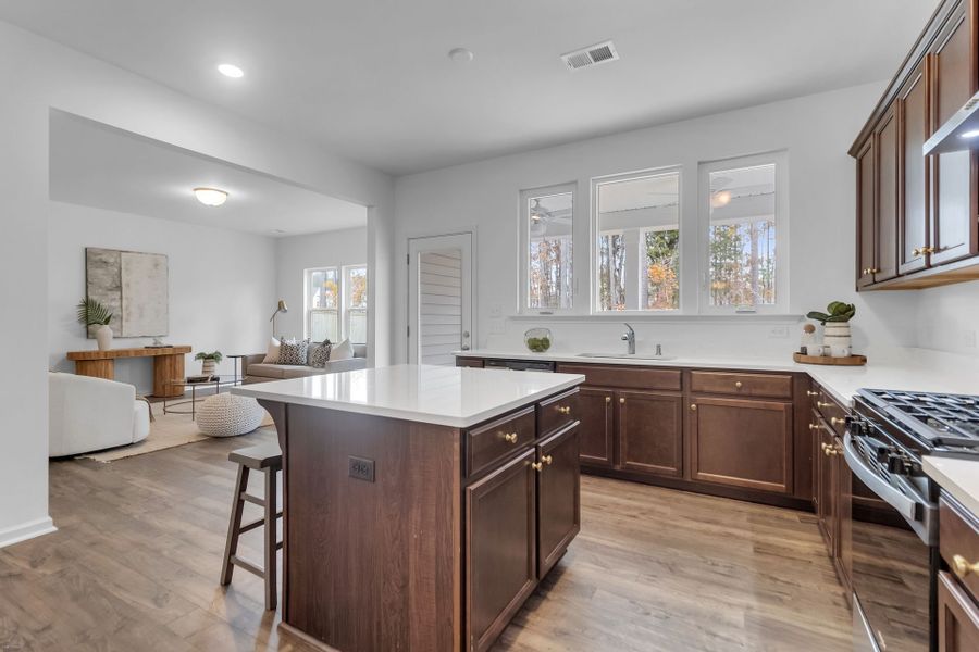 Furnished interior view inside a new home in Homecoming, Ravenel (Image 9).