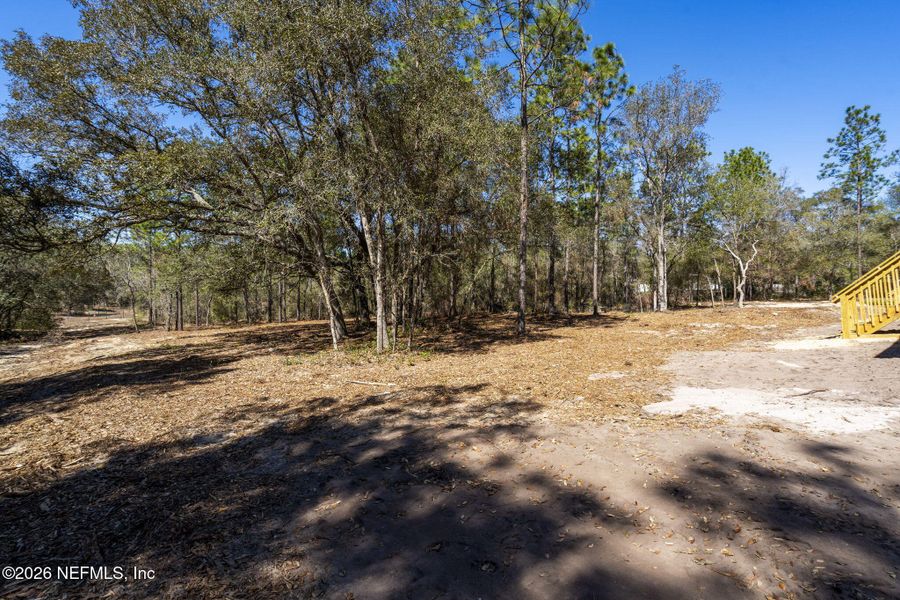 Natural landscape and outdoor views near  in Keystone Heights (Image 38).
