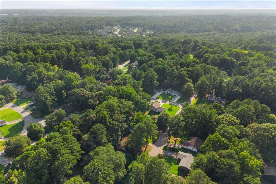 Natural landscape and outdoor views near  in Jonesboro (Image 43).