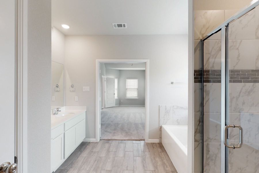 Owner's Bathroom