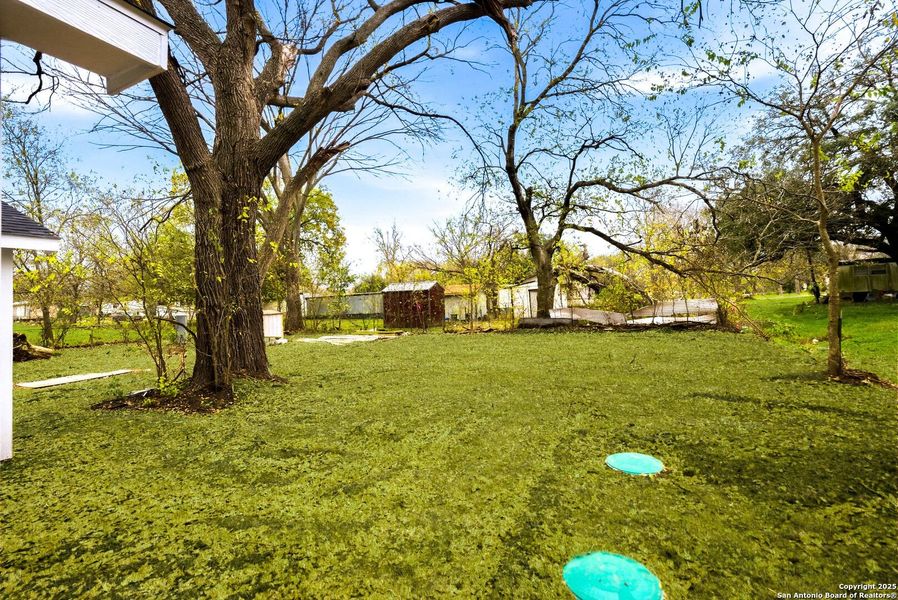 Natural landscape and outdoor views near  in Seguin (Image 27).