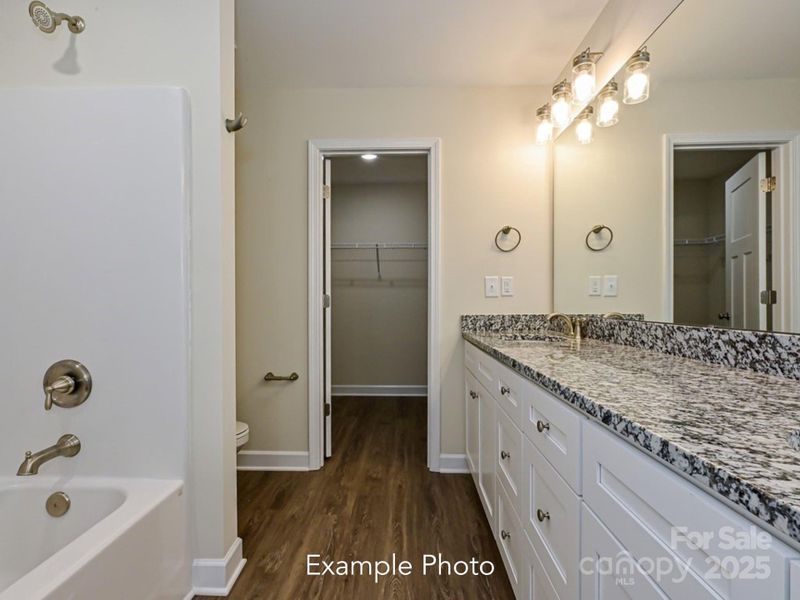 Example Photo Example Photo