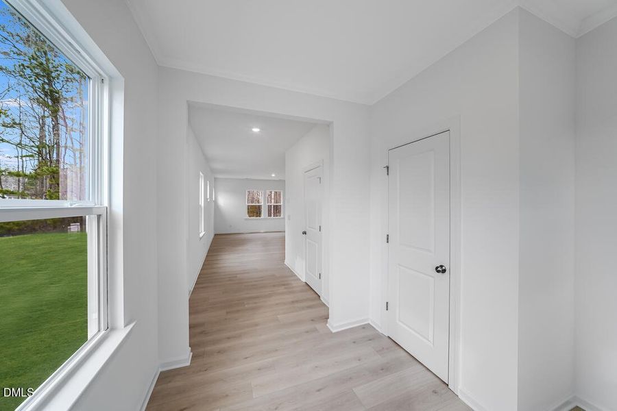 hj-nc-raleigh-eagle-trace-stella-lot-108