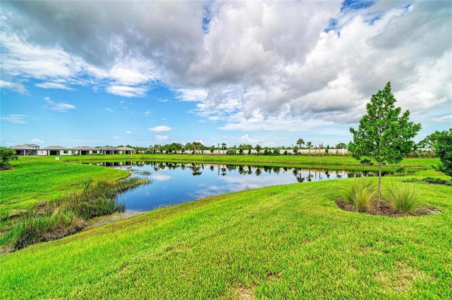 Natural landscape and outdoor views near in Nokomis (Image 69). Natural landscape and outdoor views near in Nokomis (Image 69).