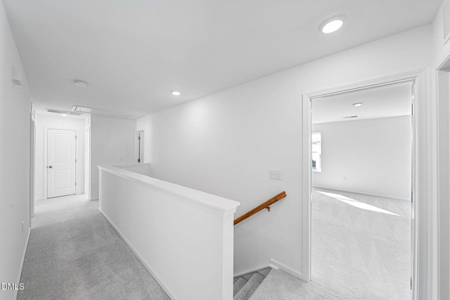 SUN_MyrtleMeadows_Pic_Winston-19