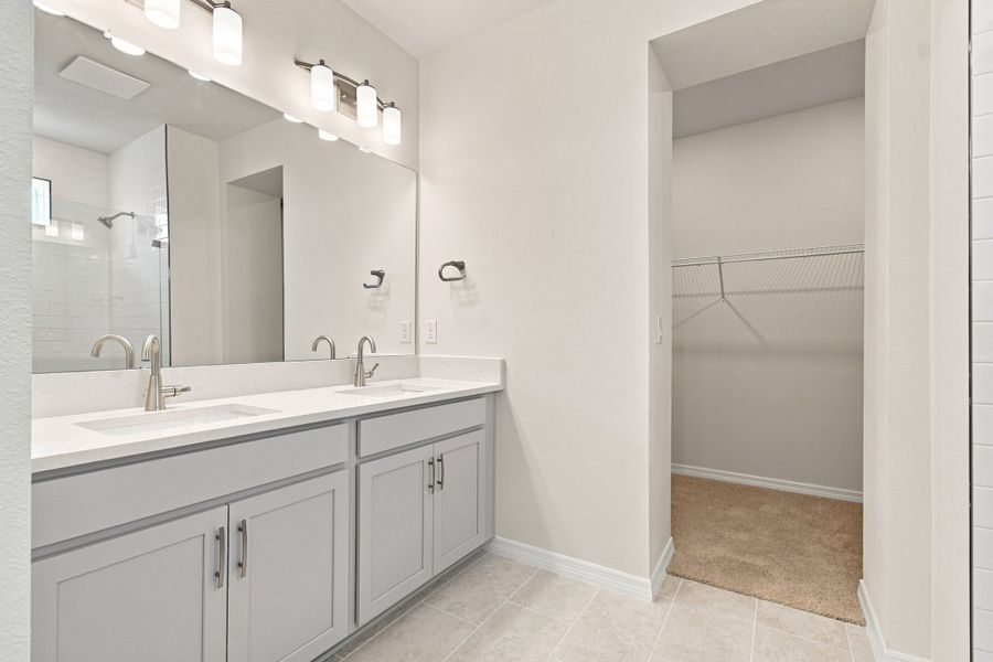 Owner's Bath