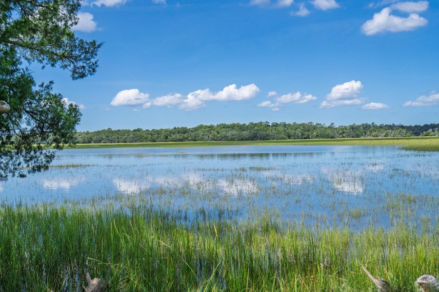 Natural landscape and outdoor views near in Edisto Island (Image 65). Natural landscape and outdoor views near in Edisto Island (Image 65).