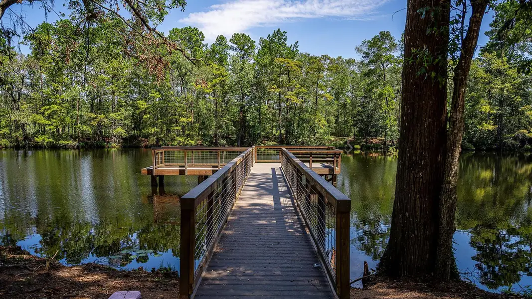 Image 20 of a home in The Highlands 65'.