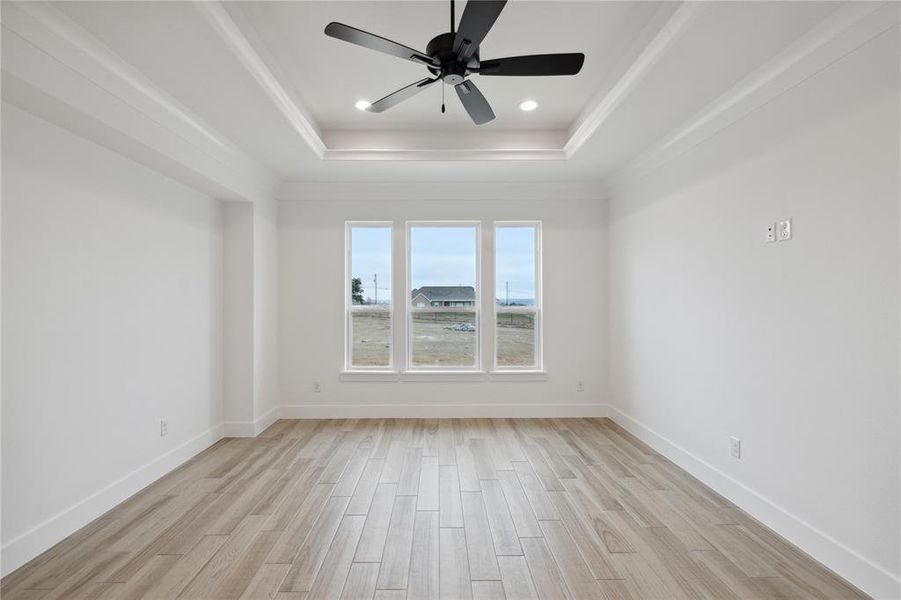 Spare room with a raised ceiling, light hardwood / wood-style flooring, and ceiling fan