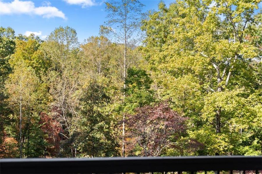 Natural landscape and outdoor views near  in Cleveland (Image 44).