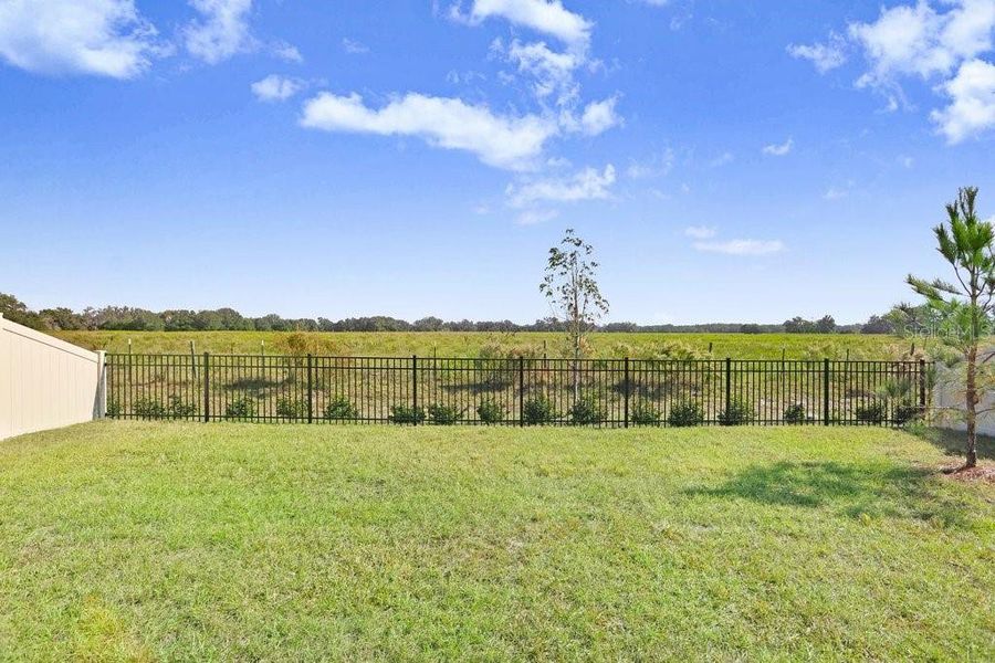 Natural landscape and outdoor views near Westgate at Avalon Park in Wesley Chapel (Image 36).