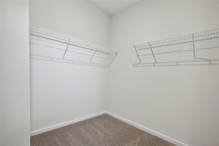 Spacious, unfurnished interior of a new home in Kingston Park, Kingston (Image 29).