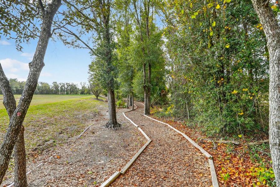 Natural landscape and outdoor views near Canopy Terrace in Deland (Image 45). Natural landscape and outdoor views near Canopy Terrace in Deland (Image 45).