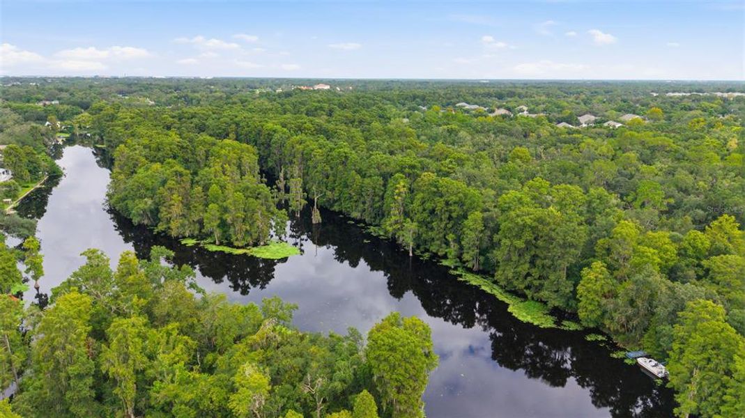 Natural landscape and outdoor views near  in Tampa (Image 26).