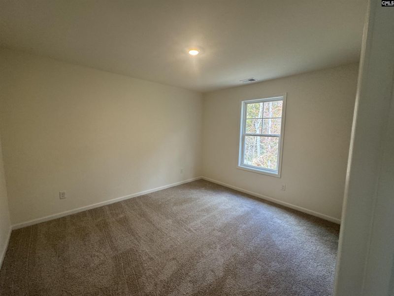 Spacious, unfurnished interior of a new home in Boykin Hills, Chapin (Image 50).