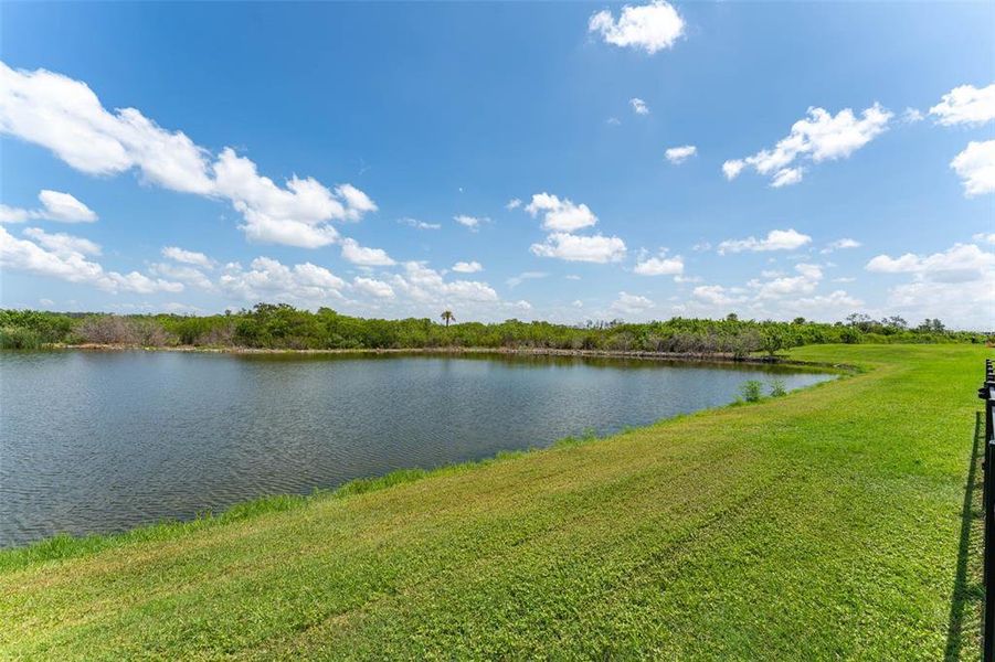 Natural landscape and outdoor views near Evergreen in Bradenton (Image 50). Natural landscape and outdoor views near Evergreen in Bradenton (Image 50).