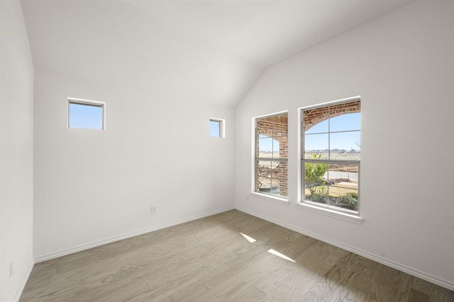 4532 Lyre Leaf- Study 4532 Lyre Leaf- Study