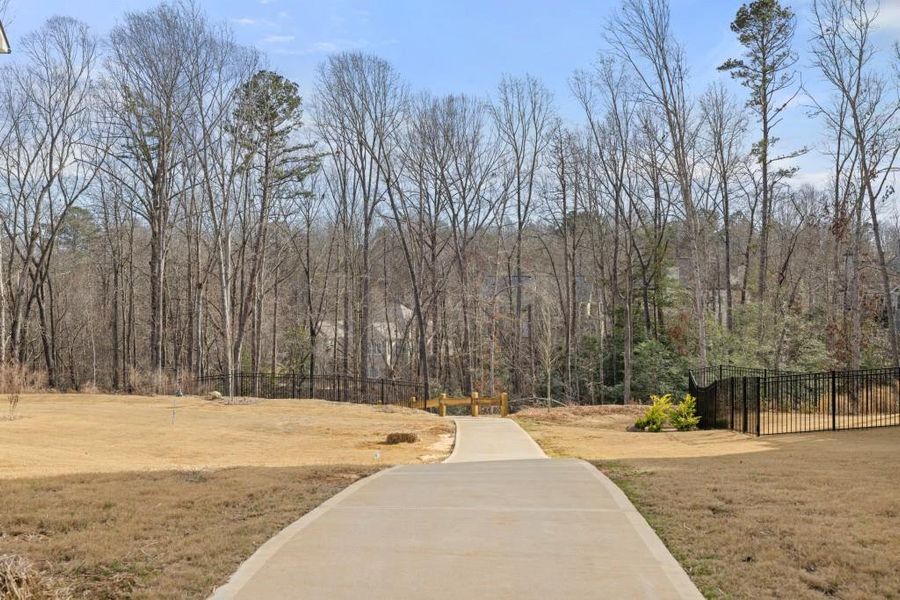 Natural landscape and outdoor views near East Harbor II at Chestatee in Dawsonville (Image 63).