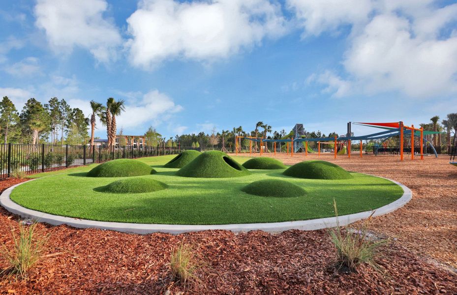 Community amenities in The Landings at Saint Johns, St. Johns (Image 25).