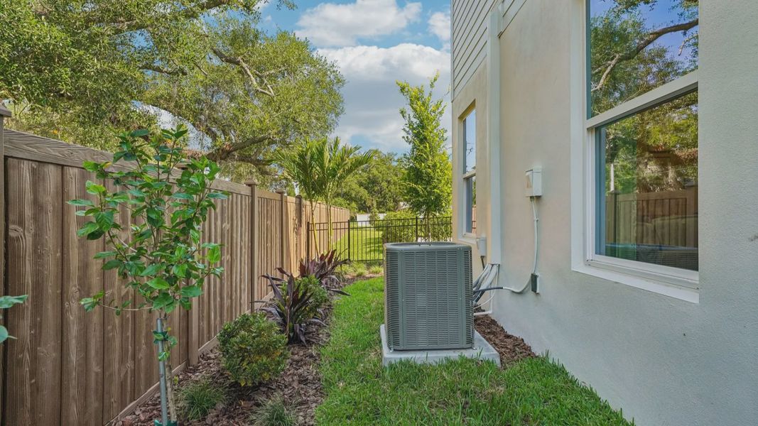 The Fenced Backyard