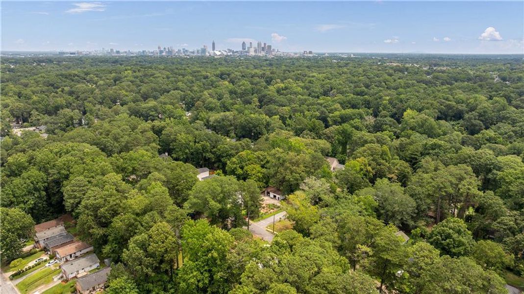 Natural landscape and outdoor views near  in Atlanta (Image 40).