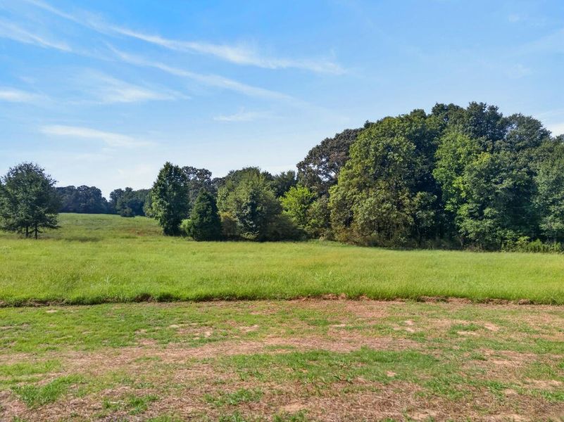 Natural landscape and outdoor views near Veal Meadows in Roopville (Image 54). Natural landscape and outdoor views near Veal Meadows in Roopville (Image 54).