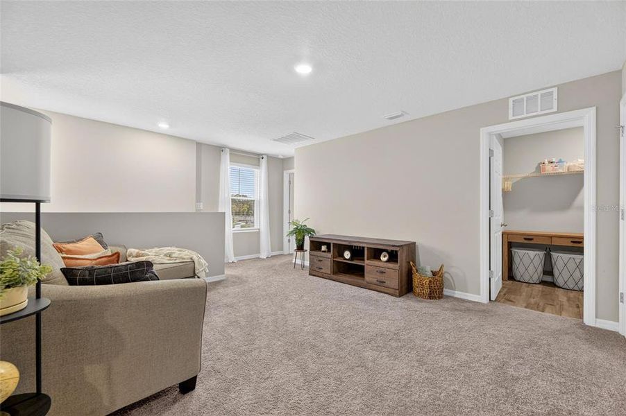 Furnished interior view inside a new home in Hawkstone, Lithia (Image 32).