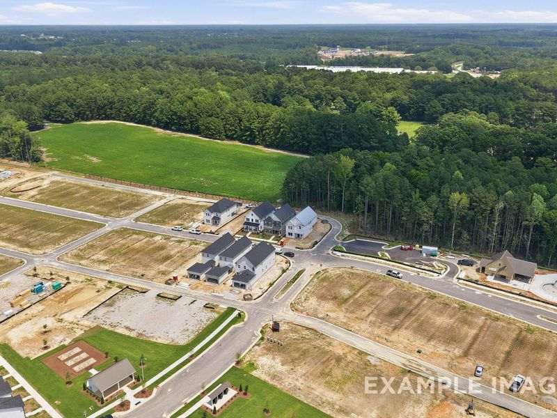 Site preparation for new homesites in Forestville Yard, Knightdale (Image 31). Site preparation for new homesites in Forestville Yard, Knightdale (Image 31).