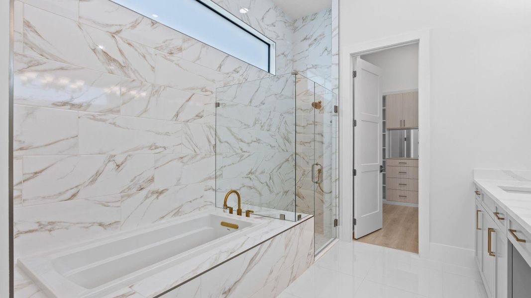 Owner's Bath