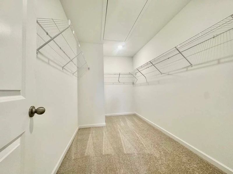 Primary Bedroom Walk-In Closet