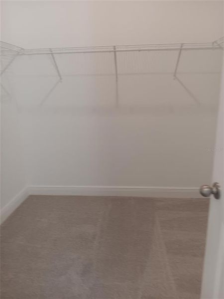 Spacious, unfurnished interior of a new home in , Orlando (Image 19).