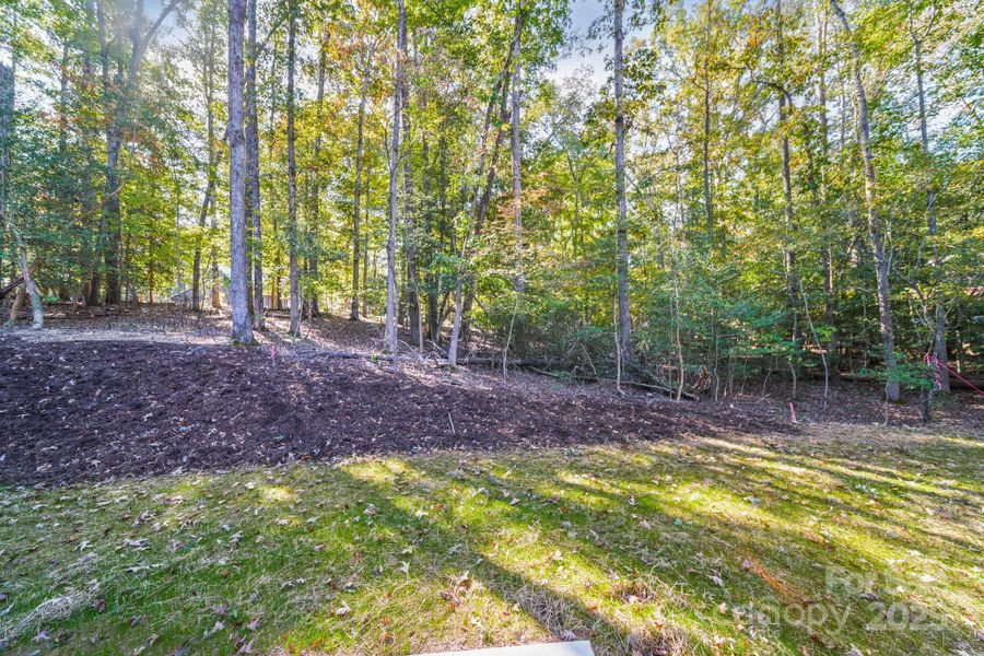 Natural landscape and outdoor views near  in Mount Gilead (Image 28).