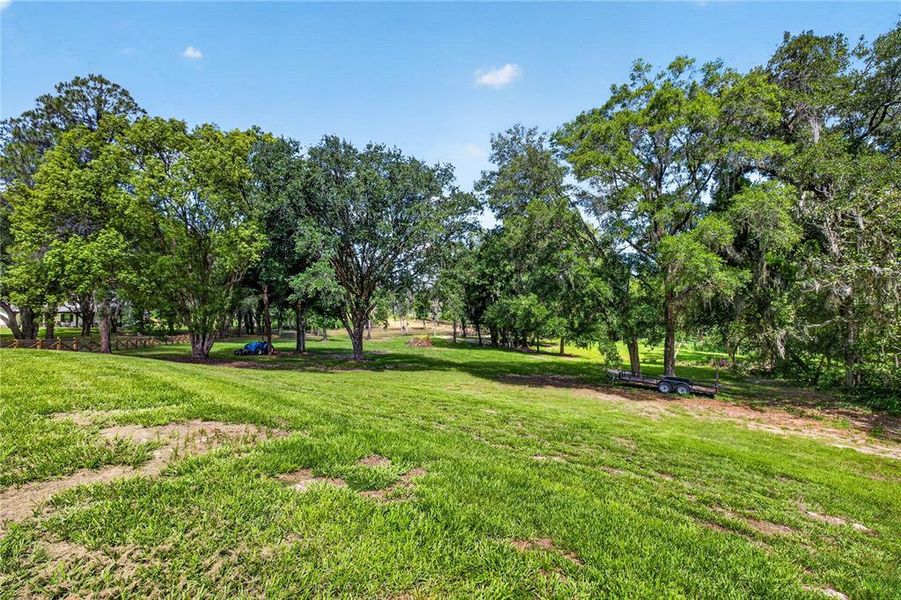 Natural landscape and outdoor views near  in Dade City (Image 63).