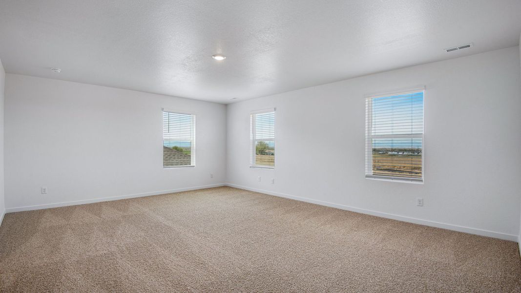 Spacious, unfurnished interior of a new home in Vista Meadows, Fort Lupton (Image 30).