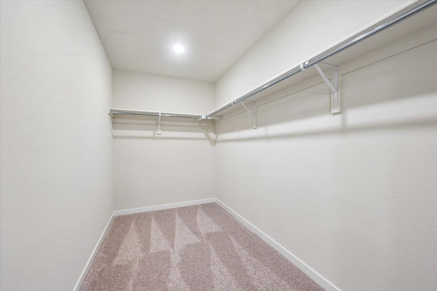 A staircase in a building.
