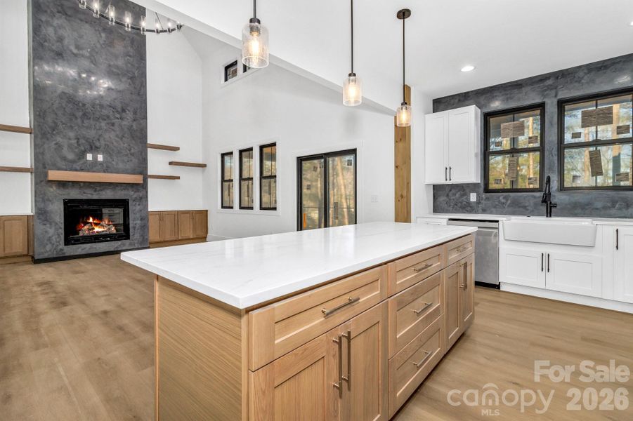 Furnished interior view inside a new home in , Mills River (Image 8).