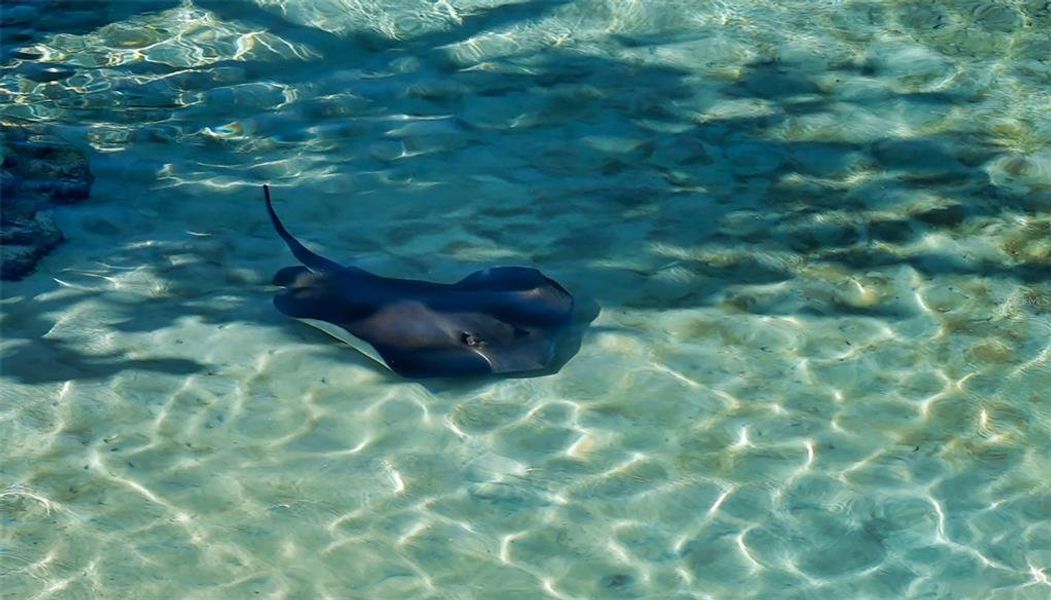 Image 65 of a home in . Image 65 of a home in .