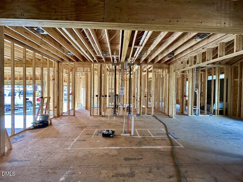 Photo Nov 03 2025, 1 46 36 PM (Medium)