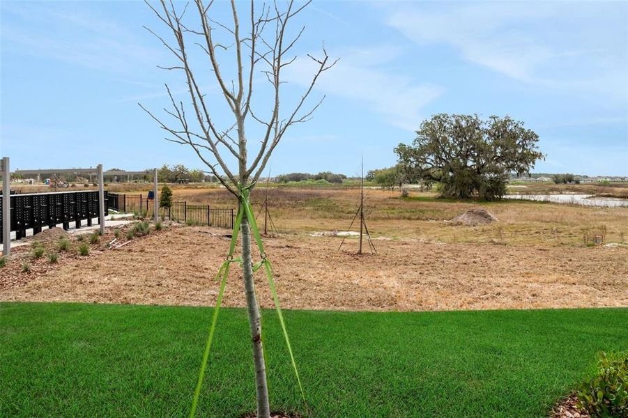 Natural landscape and outdoor views near Shores at Mirada in San Antonio (Image 27).