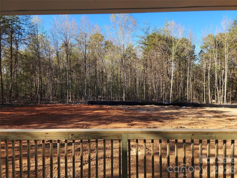 Large Level Rear Yard from the Large Partial Covered Rear Deck