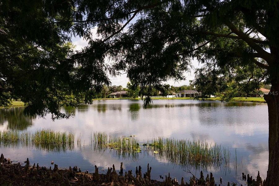Natural landscape and outdoor views near Eastlyn in Bradenton (Image 15).