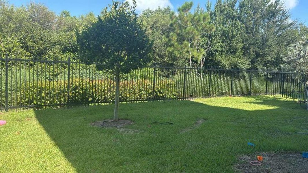 Natural landscape and outdoor views near  in Pembroke Pines (Image 20).