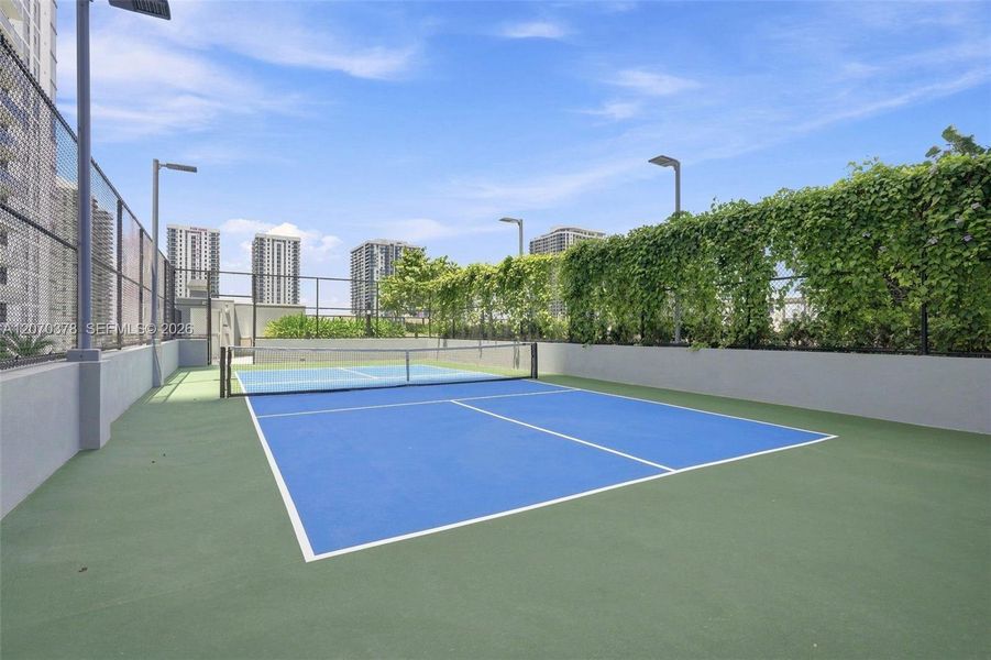 Pickleball Court Pickleball Court