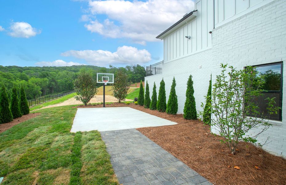 Basketball Court Basketball Court