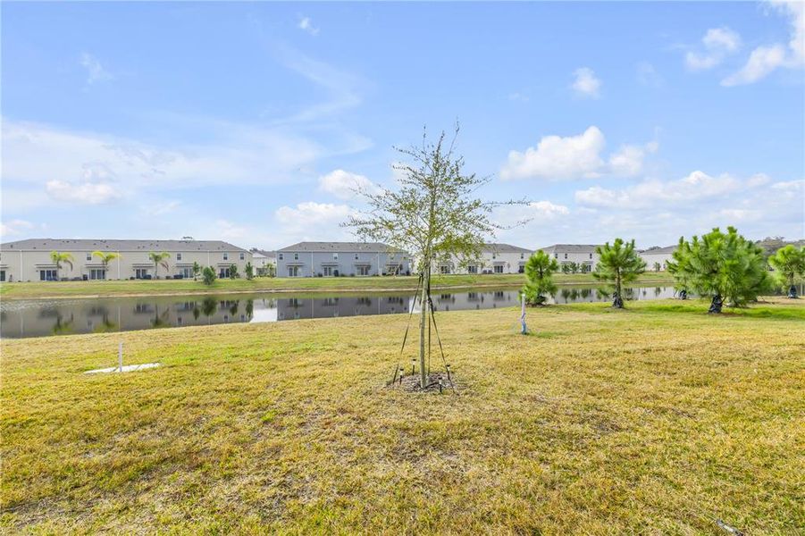 Natural landscape and outdoor views near Rivers Edge in Edgewater (Image 48). Natural landscape and outdoor views near Rivers Edge in Edgewater (Image 48).