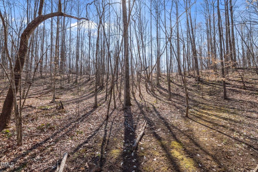 54-web-or-mls-P1112043